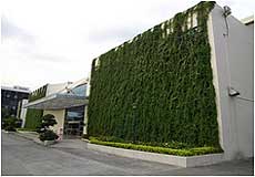 深圳大浪 壁面緑化設備